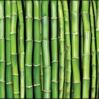 Фартук для кухни зеленый бамбук