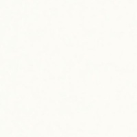 Снежно-белый