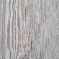 Сосна Монблан белая