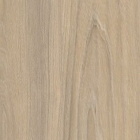 Вяз Швейцарский высокий глянец