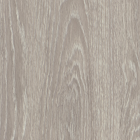 Дуб Филадельфия грей