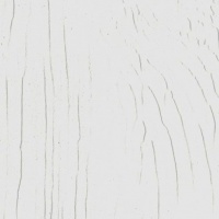 284 Дуб белый