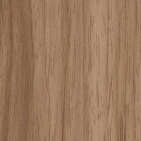 №154 слива светлая