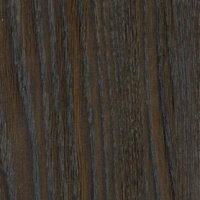 №155 дуб седой