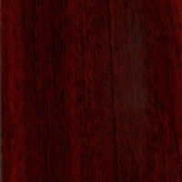 №171 махагон глянец