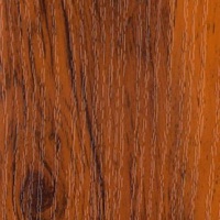 №181 дуб сокальский