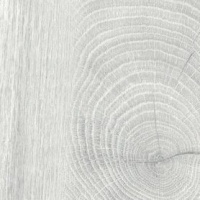 №327 Лиственница камчатская