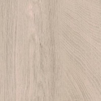 №330 Лиственница приморская