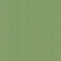 293 болотный суперматовый