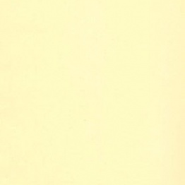 №51 ваниль глянец