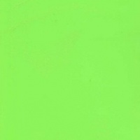 №73 эвкалипт глянец