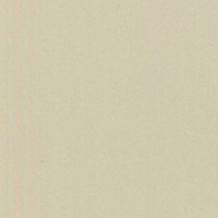 №146 жемчуг глянец