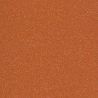 №152 коралловый металлик