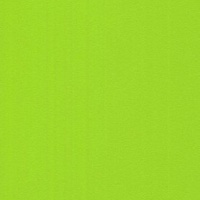 №158 лайм шагрень