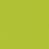 №193 лайм глянец