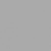 №248 сталь техно глянец