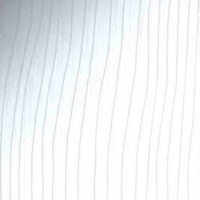 №260 риф белый