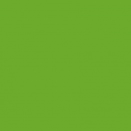 Цвет «Зелёный киви» Мягкий матовый