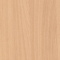 Бук Невский U1479