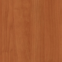 Вишня Академия U1915