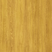 Дуб Сантана золотистый U3141