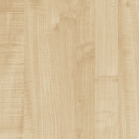 Клен Танзау U9520