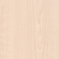 Липа Светлана U9505