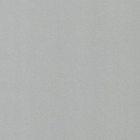 Серебро U3301