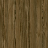 Туя тёмная U1116