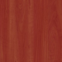 Яблоня Локарно U2007