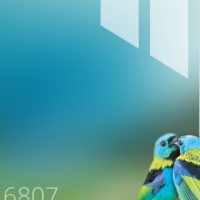 Зеркало стекло