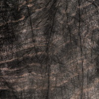 Black Quartzite 8113