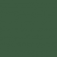 Dark green 1082 (möbius)