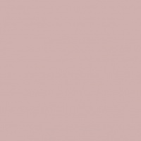 Light pink 1031 (möbius)