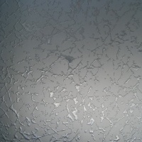 Паутина б_цв