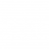 Белоснежный