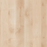 Береза нордик