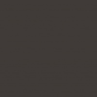 Чёрный графит U961 PM