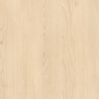 Берёза песочная H1732 ST9