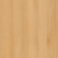 Бук луговой H1910 ST9