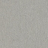 Серебристый матовый F765 ST20