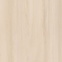 Клён сахарный шампань H3860 ST9