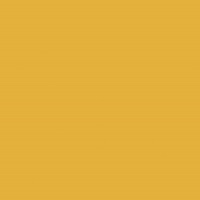 Карри жёлтый U163 ST9