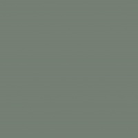 Зелёный эвкалипт U604 ST9