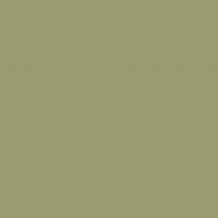 Зелёный оливковый U640 TM9