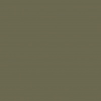 Зелёная агава U645 ST9