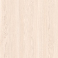 Акация Светлая