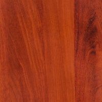 Орех Итальянский