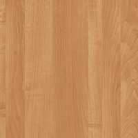 Ольха Светлая