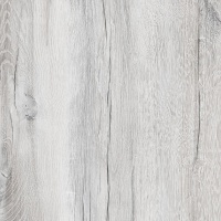 Канадский Дуб